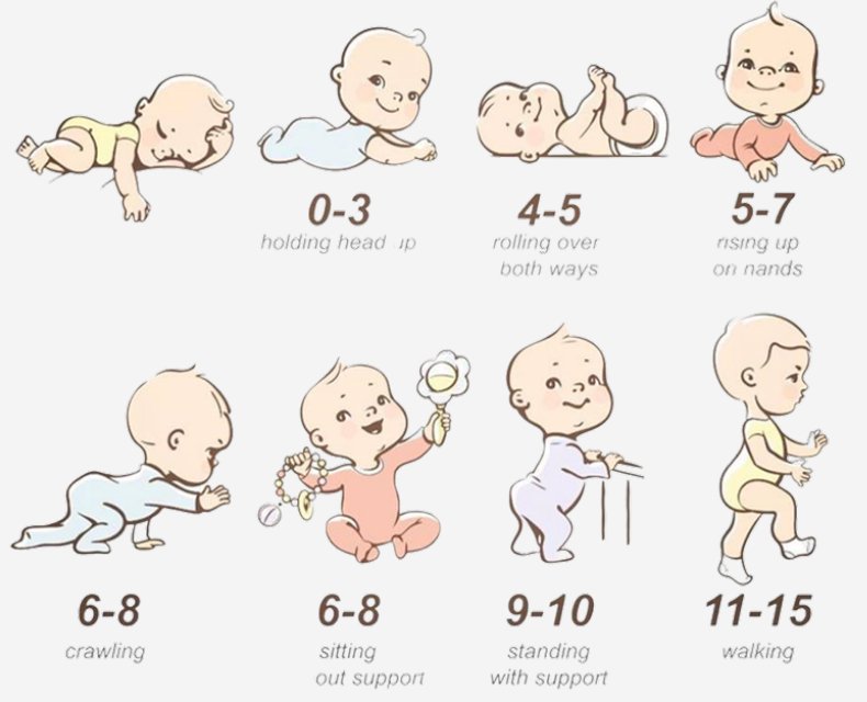 Illustration der motorischen Meilensteine eines Babys: Kopf heben, Drehen, Hochstützen, Krabbeln, Sitzen, Stehen mit Halt, Gehen