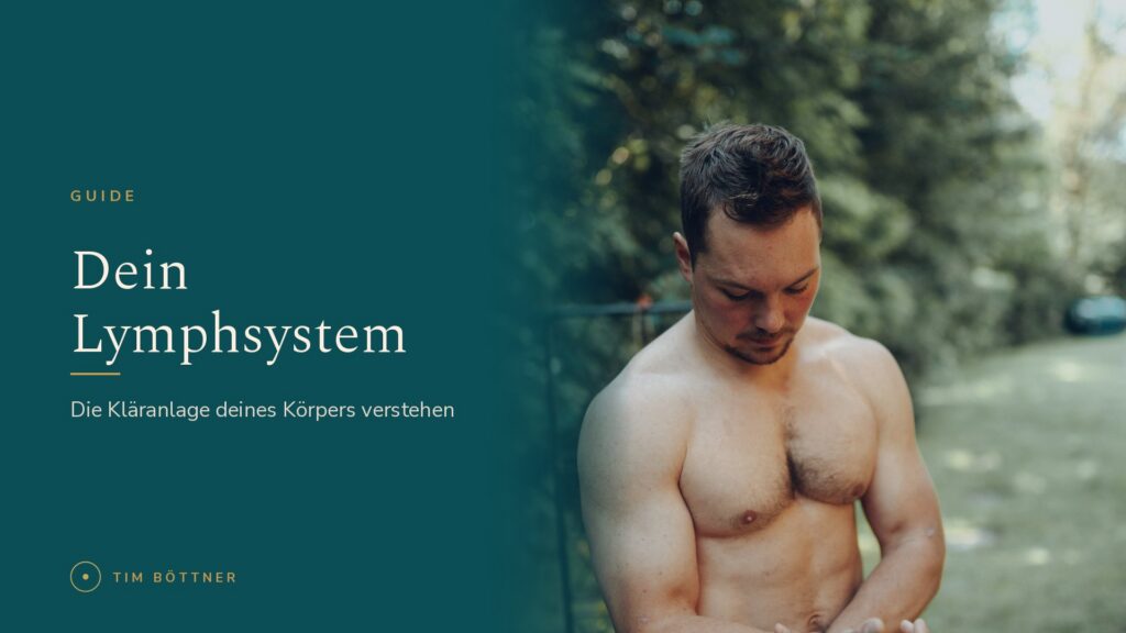 Banner zum Guide „Dein Lymphsystem“ von Tim Böttner