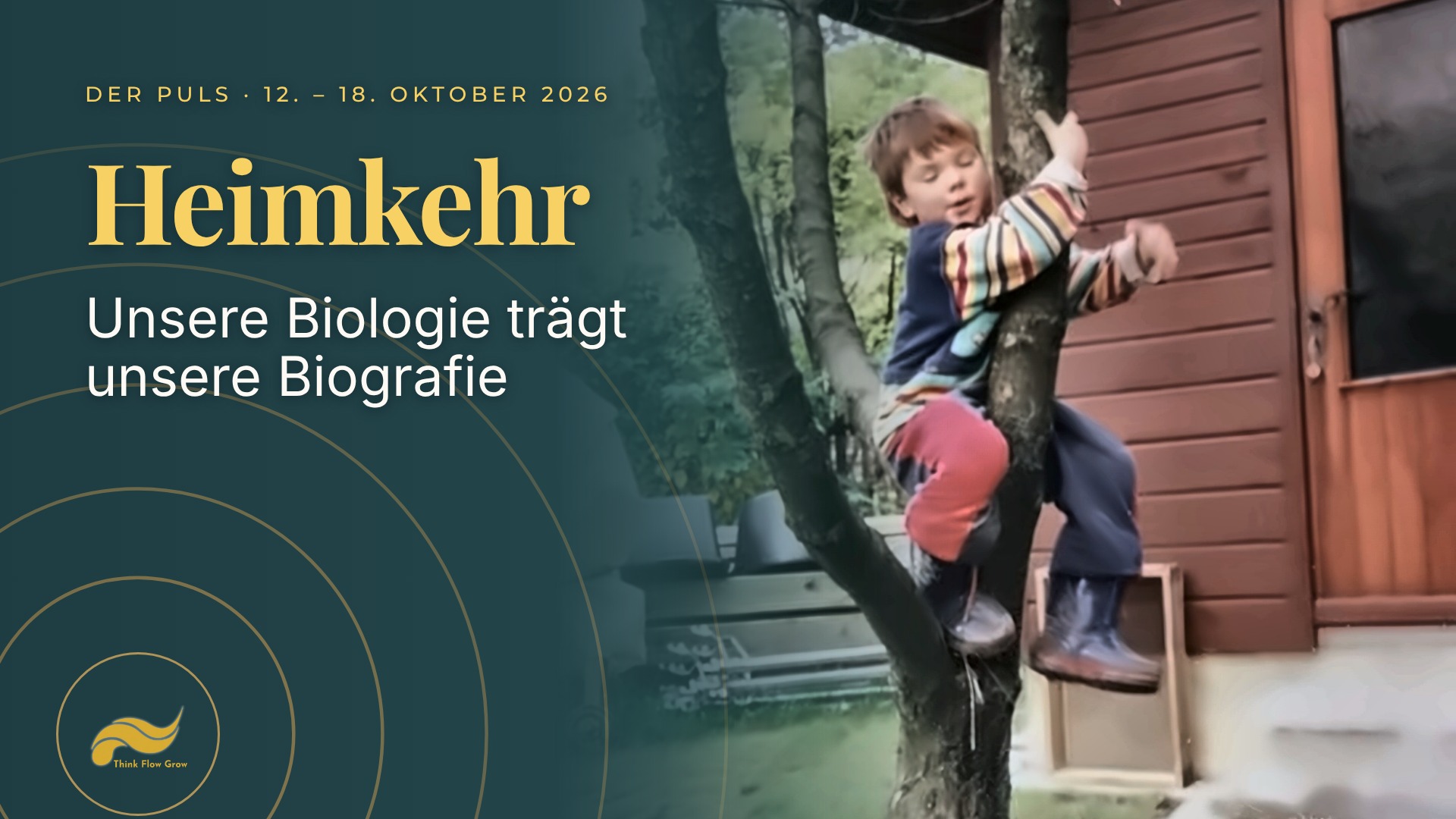 Der Puls der Woche vom 12. bis 18. Oktober 2026: Heimkehr – Tim Böttner als Kind auf einem Baum