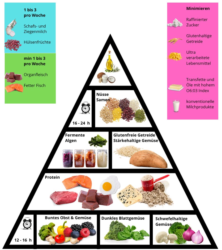 Tims Lebensmittelpyramide: unten Gemüse und Blattgemüse, darüber Protein, Fermente und Stärke, Nüsse und Samen, oben Öle; daneben Kästen für 1- bis 3-mal pro Woche und Minimieren