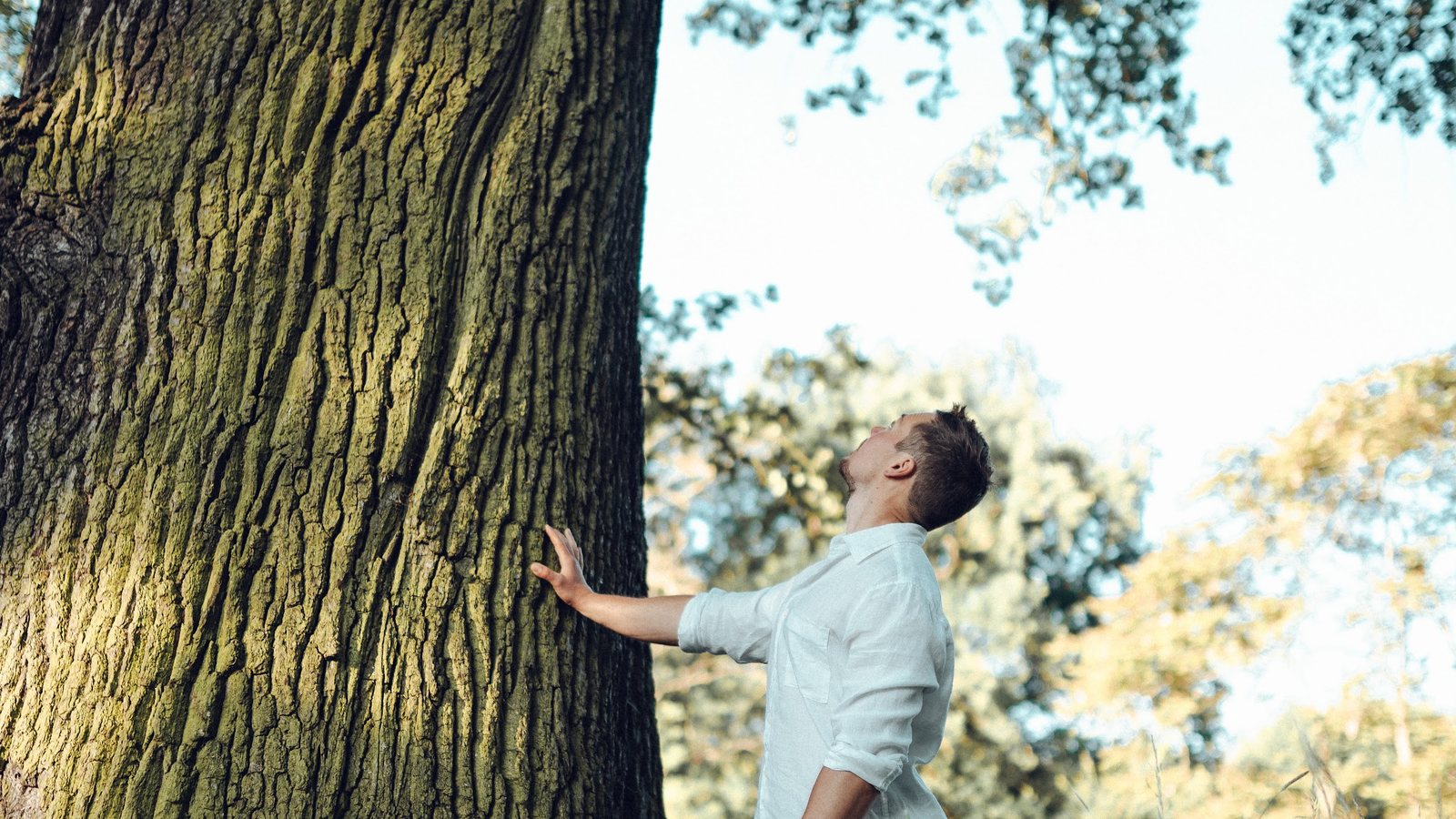 Tim steht an einem großen Baum und blickt in die Krone